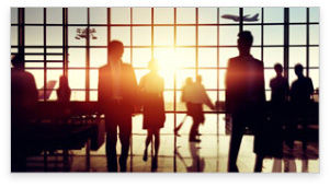 International Movers